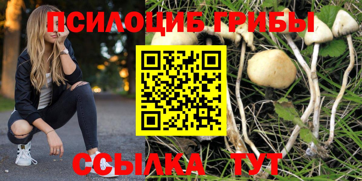 Псилоцибиновые грибы GOLDEN TEACHER  Вход с VPN  Жуковский 